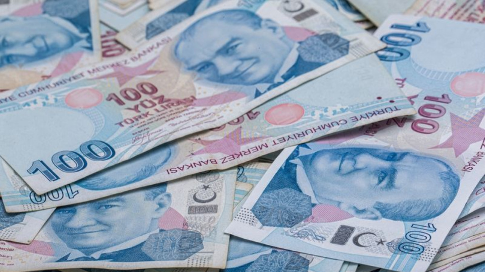 Sindirim Süreci ve Organlarının İşlevi Üzerine Detaylı İnceleme