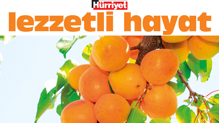 Tavuğa da kebaba da yakışır Tavuga da kebaba da yakisir z7Ubizu1